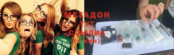 прущие грибы Белокуриха