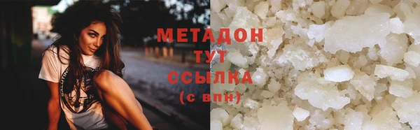 прущие грибы Белокуриха