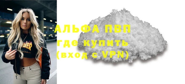 прущие грибы Белокуриха