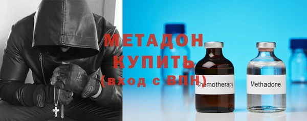 прущие грибы Белокуриха
