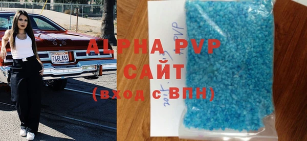 прущие грибы Белокуриха
