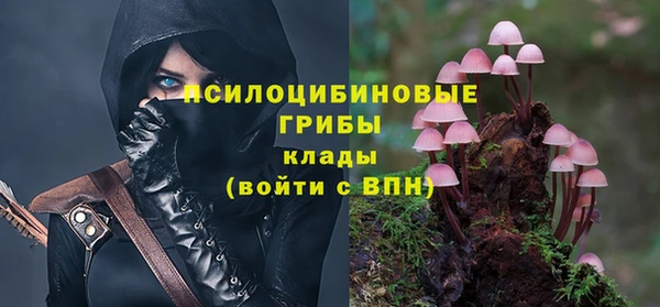 дурь Анжеро-Судженск