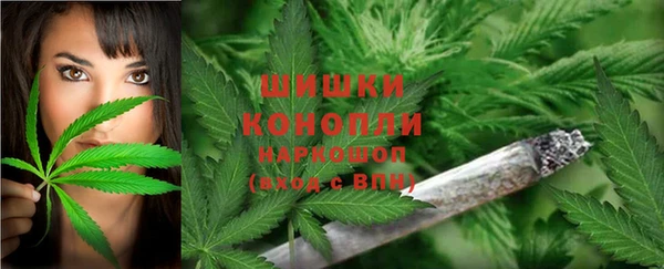 ешки Анива
