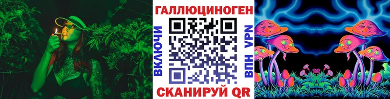 Галлюциногенные грибы Cubensis  цены   Болотное 